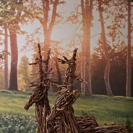 Nocleg ze śniadaniem De Beukenboom 3*