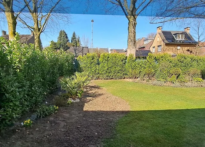 De Beukenboom Geleen