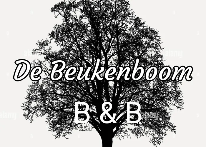 Bed & Breakfast De Beukenboom Geleen