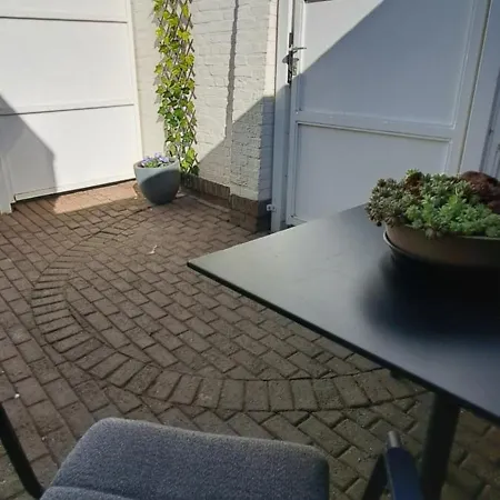 De Beukenboom 3*